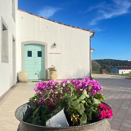 Tenute Testoni Agriturismo E B&B Bassacutena ภายนอก รูปภาพ