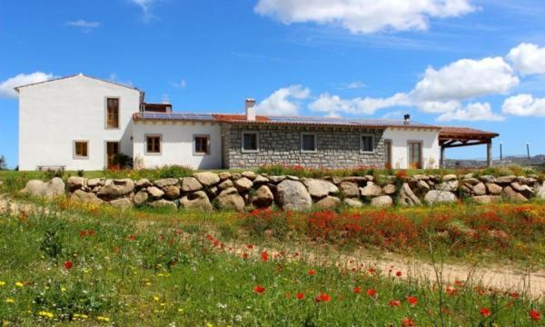 Tenute Testoni Agriturismo E B&B Bassacutena ภายนอก รูปภาพ
