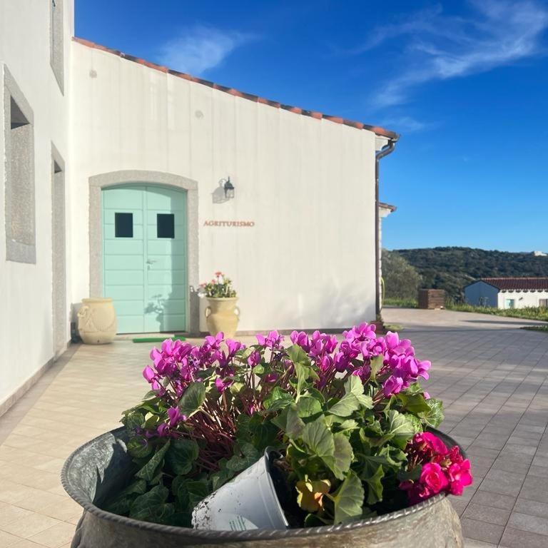 Tenute Testoni Agriturismo E B&B Bassacutena ภายนอก รูปภาพ